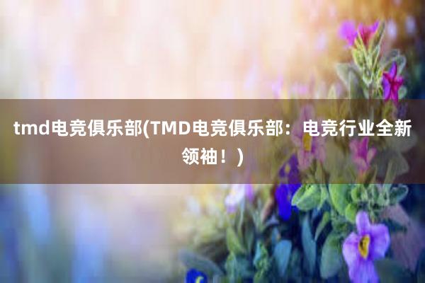 tmd电竞俱乐部(TMD电竞俱乐部：电竞行业全新领袖！)