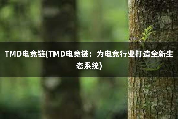 TMD电竞链(TMD电竞链：为电竞行业打造全新生态系统)