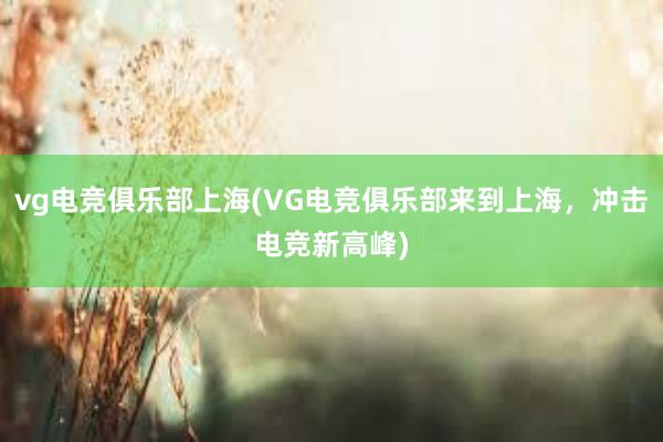 vg电竞俱乐部上海(VG电竞俱乐部来到上海，冲击电竞新高峰)