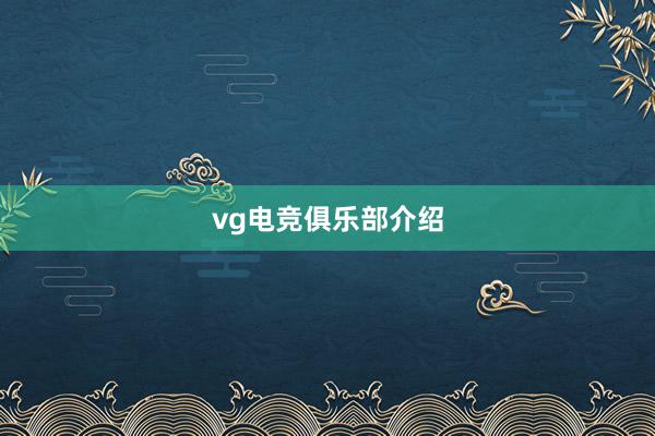 vg电竞俱乐部介绍