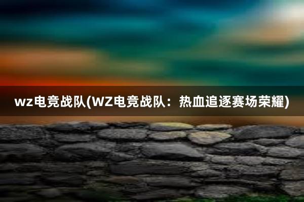 wz电竞战队(WZ电竞战队：热血追逐赛场荣耀)