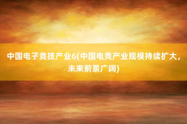 中国电子竞技产业6(中国电竞产业规模持续扩大，未来前景广阔)