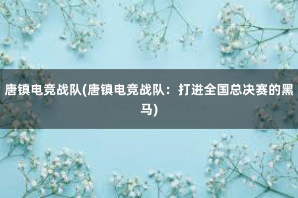 唐镇电竞战队(唐镇电竞战队：打进全国总决赛的黑马)