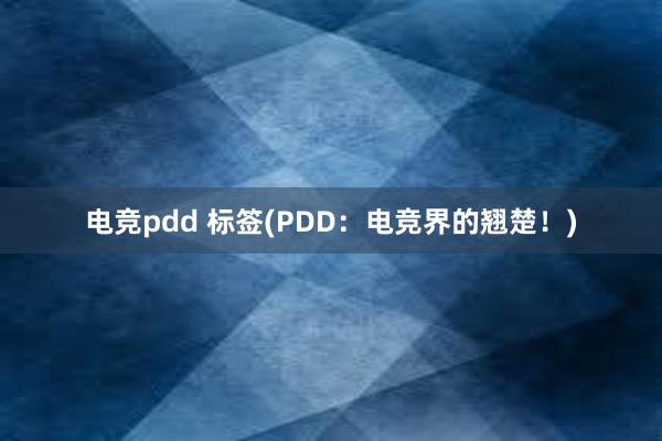 电竞pdd 标签(PDD：电竞界的翘楚！)