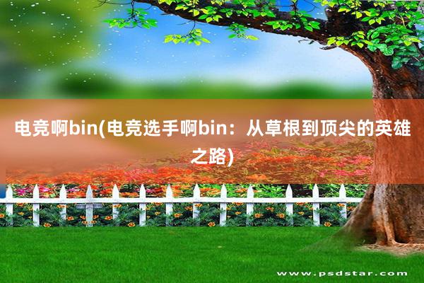 电竞啊bin(电竞选手啊bin：从草根到顶尖的英雄之路)