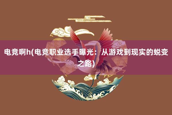 电竞啊h(电竞职业选手曝光：从游戏到现实的蜕变之路)