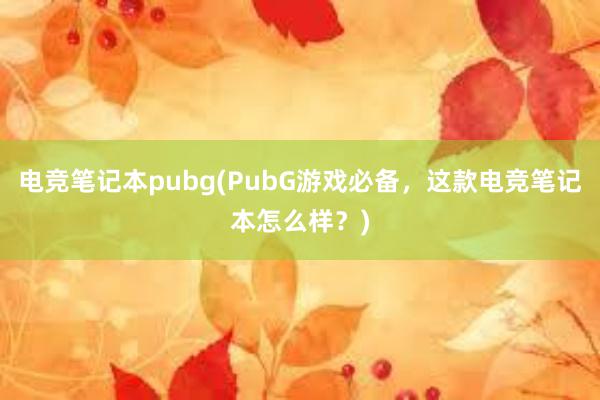 电竞笔记本pubg(PubG游戏必备，这款电竞笔记本怎么样？)