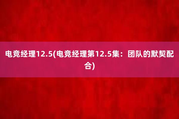 电竞经理12.5(电竞经理第12.5集：团队的默契配合)