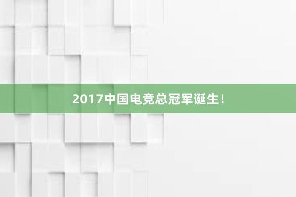 2017中国电竞总冠军诞生！