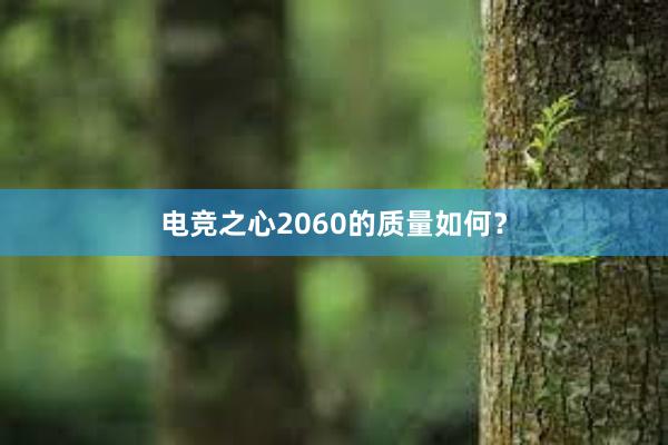 电竞之心2060的质量如何？