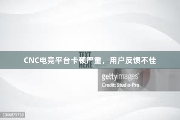 CNC电竞平台卡顿严重，用户反馈不佳