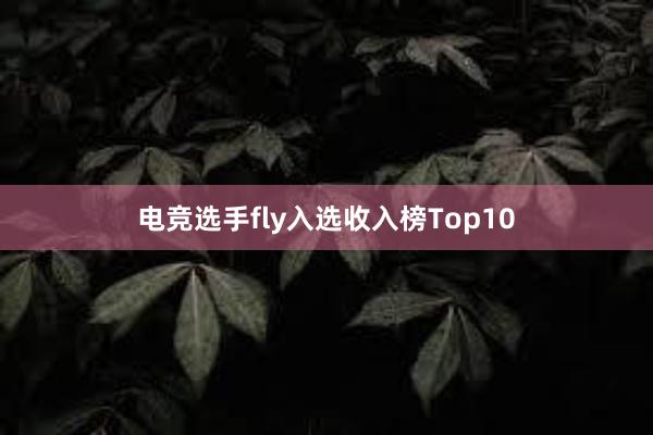 电竞选手fly入选收入榜Top10