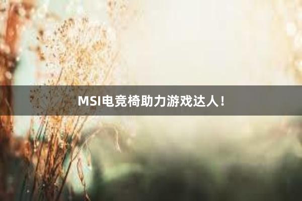 MSI电竞椅助力游戏达人！