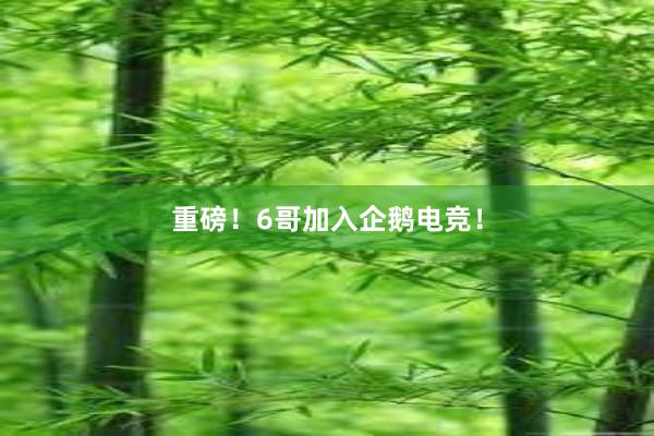 重磅！6哥加入企鹅电竞！