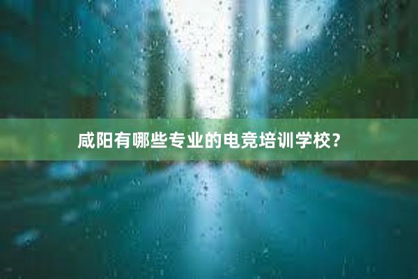 咸阳有哪些专业的电竞培训学校？