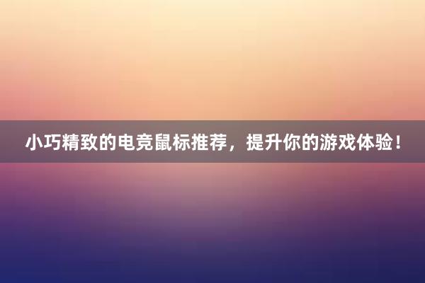 小巧精致的电竞鼠标推荐，提升你的游戏体验！