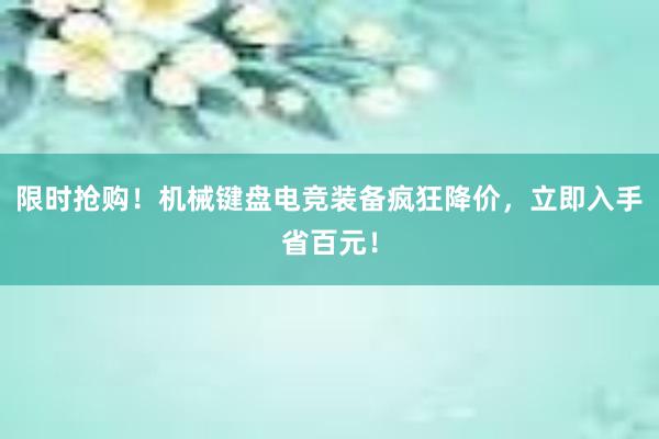 限时抢购！机械键盘电竞装备疯狂降价，立即入手省百元！