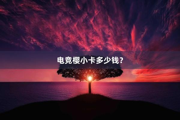 电竞樱小卡多少钱？